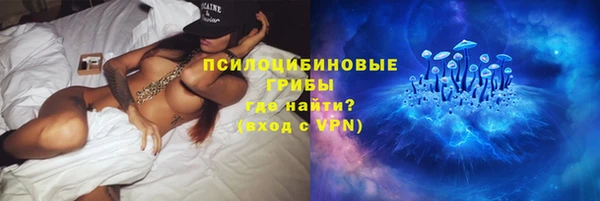 mix Снежногорск