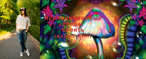 дживик Беломорск