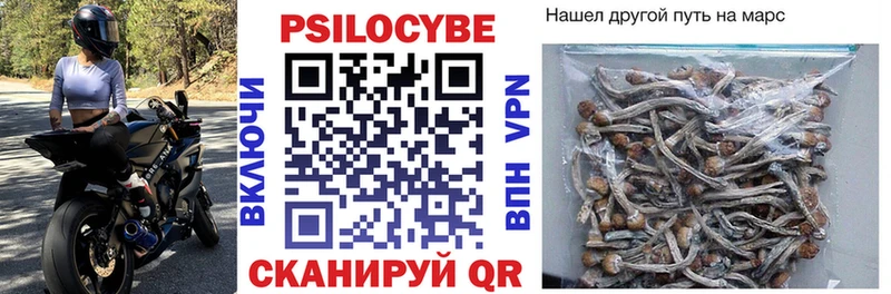 где купить   mega ссылки  Галлюциногенные грибы ЛСД  Городец 